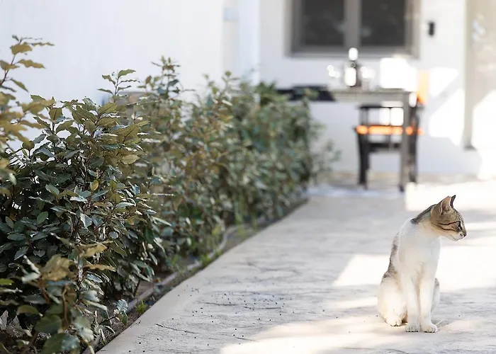White Pearl Naxos With Private Swimming Pool ヴィラ Naxos City