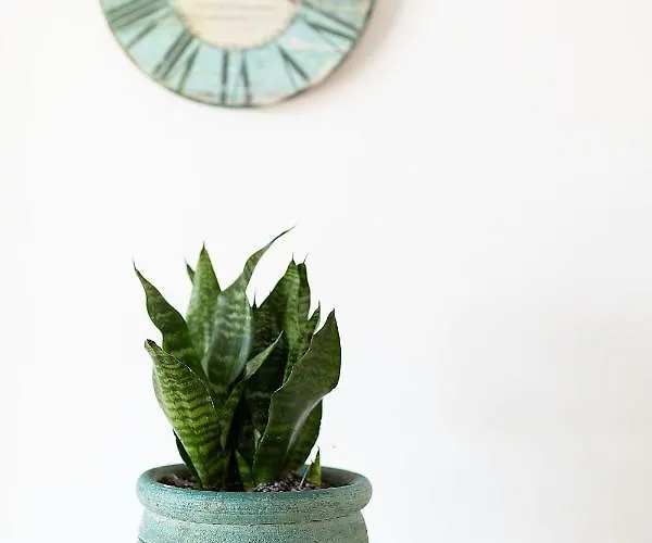 White Pearl Naxos With Private Swimming Pool *