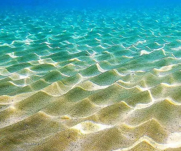 White Pearl Naxos With Private Swimming Pool ヴィラ *