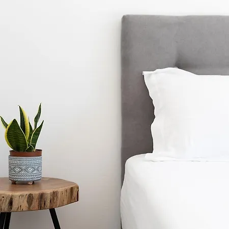 White Pearl Naxos With Private Swimming Pool ヴィラ