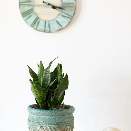 White Pearl Naxos With Private Swimming Pool *