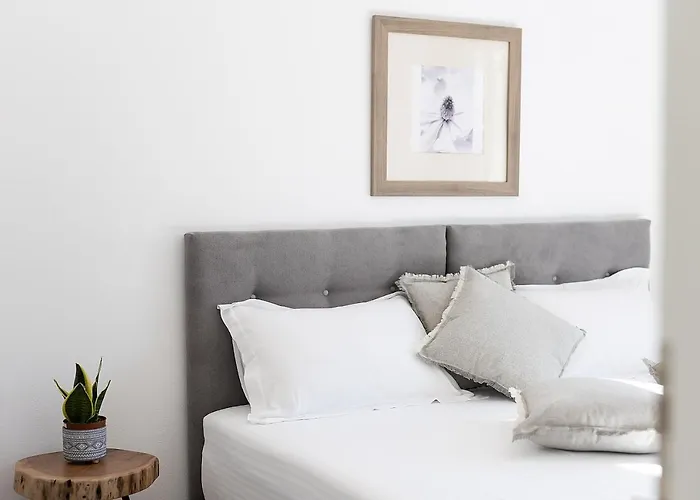 White Pearl Naxos With Private Swimming Pool Willa Naxos City